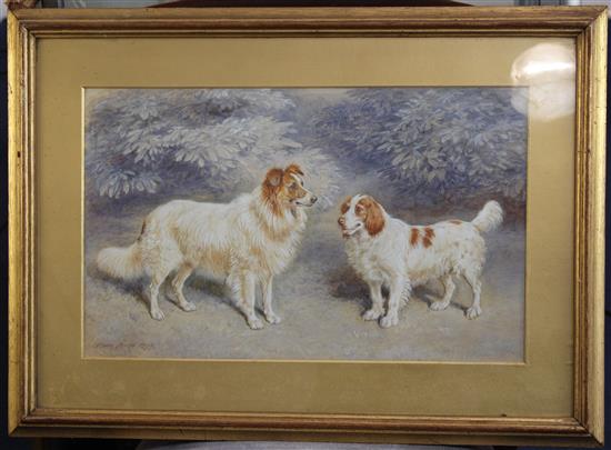 Frank Paton (1856-1909) Portrait of a collie and a spaniel, 11.5 x 18.5in.